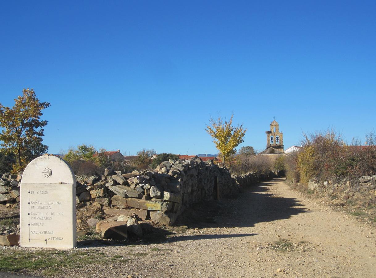 Santa Catalina de Somoza Via Avis 게스트하우스 외부 사진